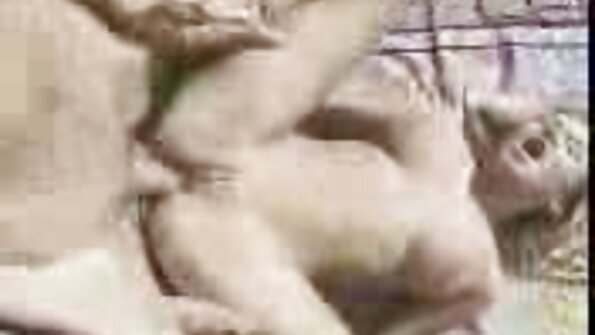 তরুণ চুদা চুদী বিডিও অ্যালিসন ব্যাঙ্ক একটি বড় মোরগ হার্ডকোর যৌনসঙ্গম দ্বারা প্রসারিত